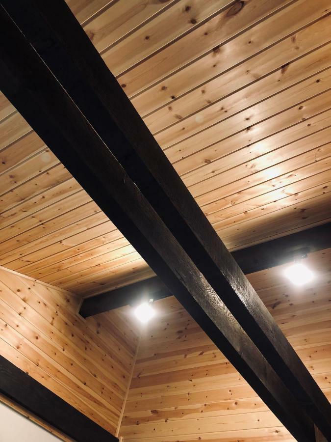 Villa Ryder'S House With Free Use Of 4W Car Hakuba Exterior foto